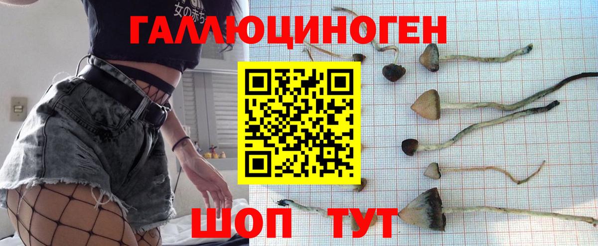 Псилоцибиновые грибы мухоморы Обнинск