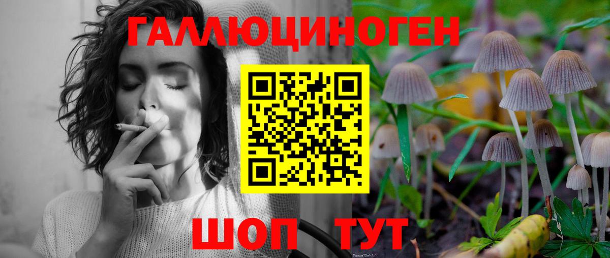 Псилоцибиновые грибы MAGIC MUSHROOMS  Вход с VPN  Обнинск 